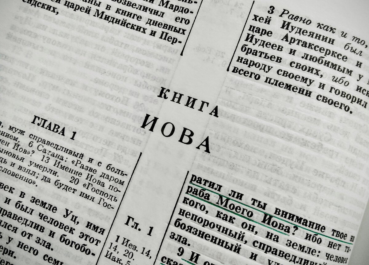 Библейский герой Иов. Причины его страданий? Чему нас учат страдания Иова?  | истина рядом | Дзен