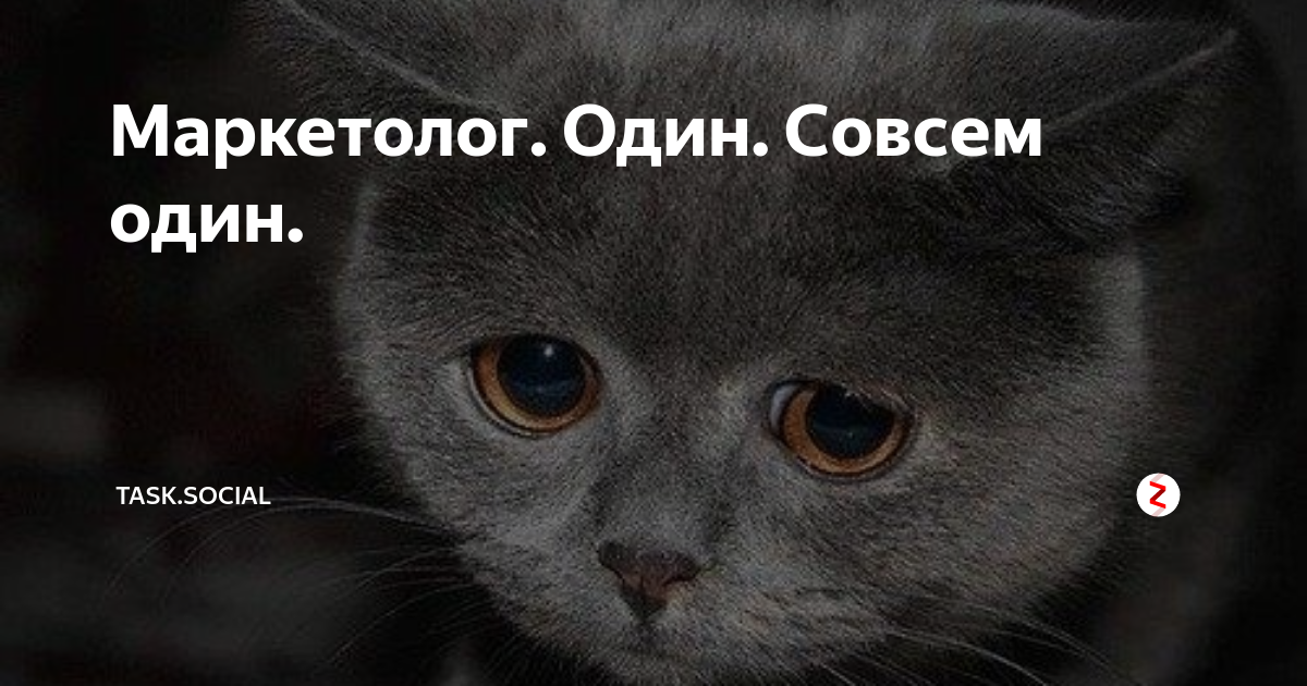 Ежик в тумане с надписями. Одна совсем одна стихи. Один совсем один. Одинокий совсем один. Мне холодно.