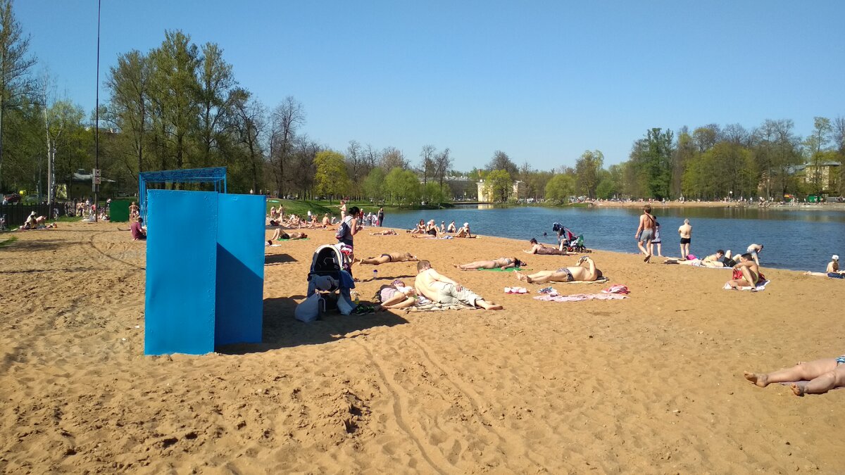 Парк купаться. Колонистский пруд в Пушкине. Пляж на Колонистском пруду город Пушкин. Царское село Колонистский пруд. Пушкин озеро Колоничка.