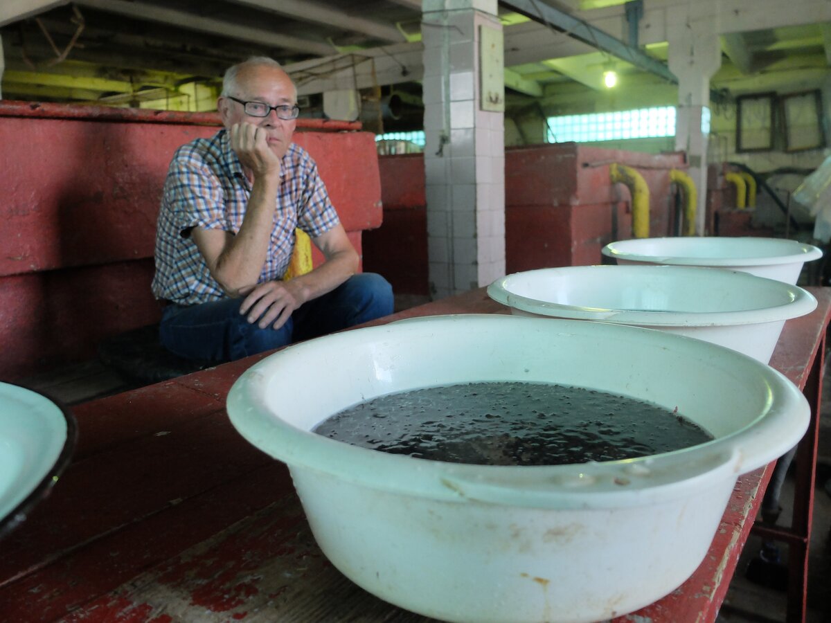 Владислав Всеволодович Смолин, заслуженный ихтиолог, руководитель инкубационного цеха