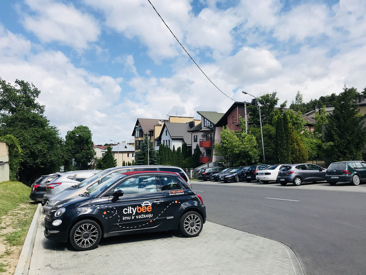 Фото Каршерского Кота