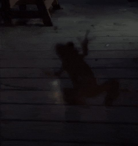 MindFlayer003