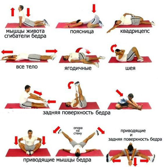 Фитнес дома: 10 комплексов упражнений для самостоятельных тренировок – СПБГБУЗ ГП №39
