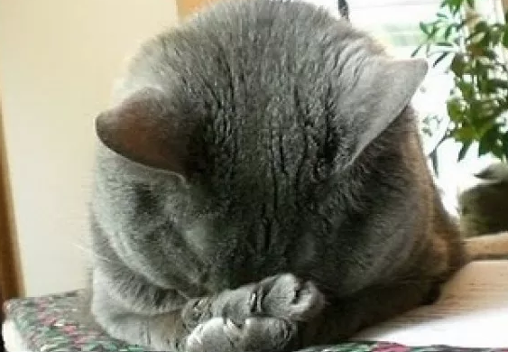 Глаза б мои не видели всю эту мифологию о проблемной коже!