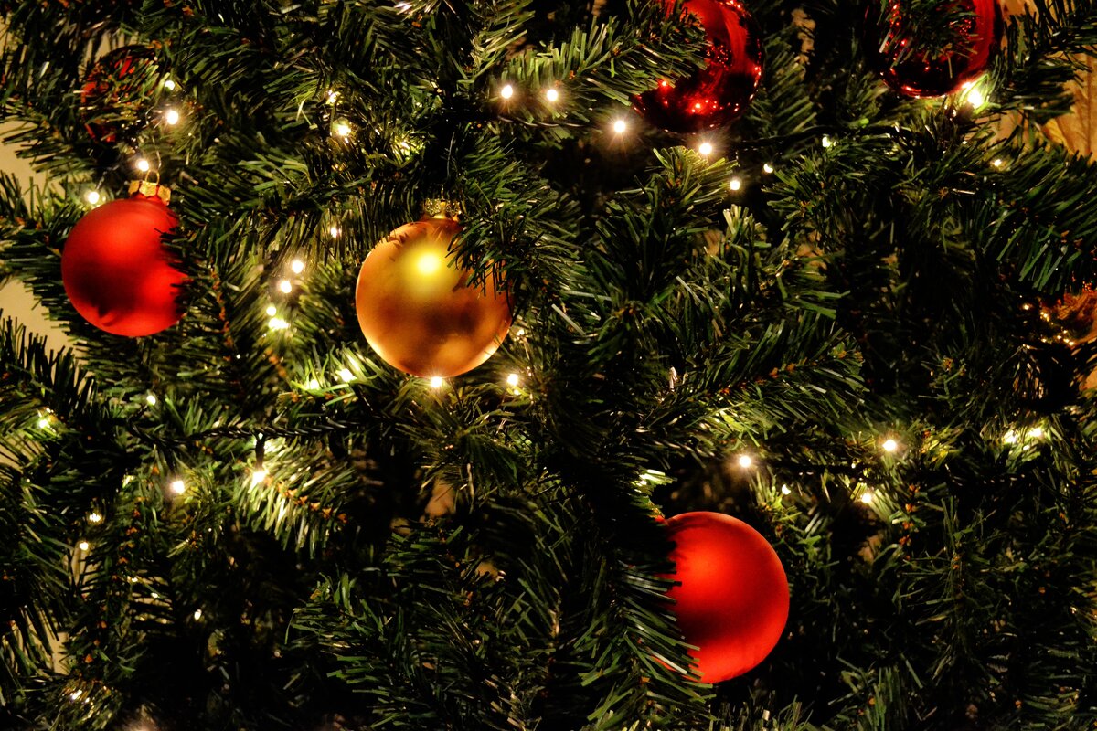Католическое Рождество наступает 25 декабря. Отсчитайте ровно четыре недели назад от этой даты и попадёте на начало Адвента — периода, когда готовятся к главному празднику зимы.