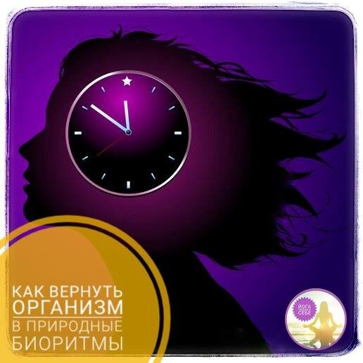 Как вернуть организм в природные биоритмы
