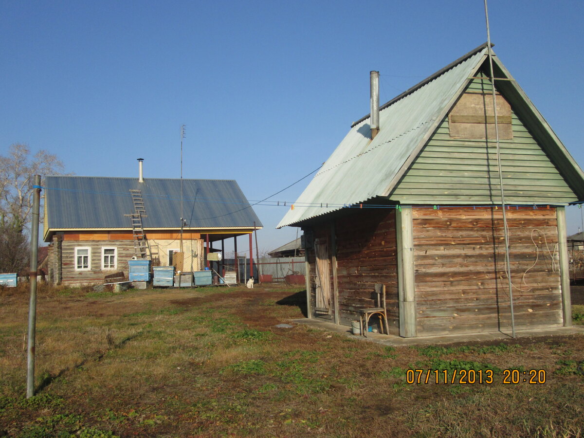 Дом, баня, пасека. В доме мне понравилась только крыша.