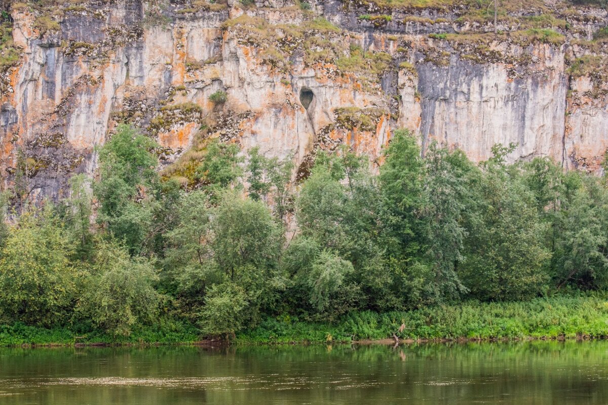 Моджи юрюзань. Находка Юрюзань. Река Юрюзань фауна. Юрюзань Бертран. Пойма Юрюзань.