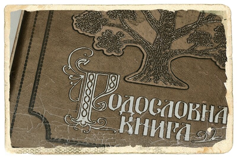 Родословная книга - прямая связь с предками 