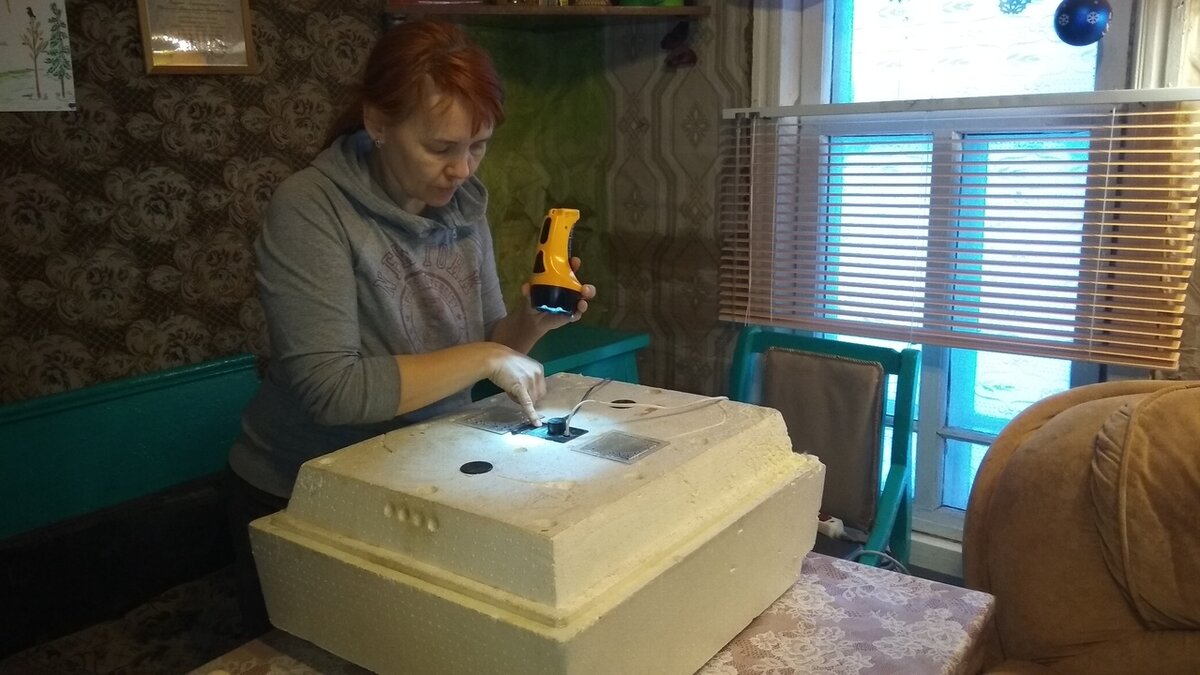 проверяю температуру