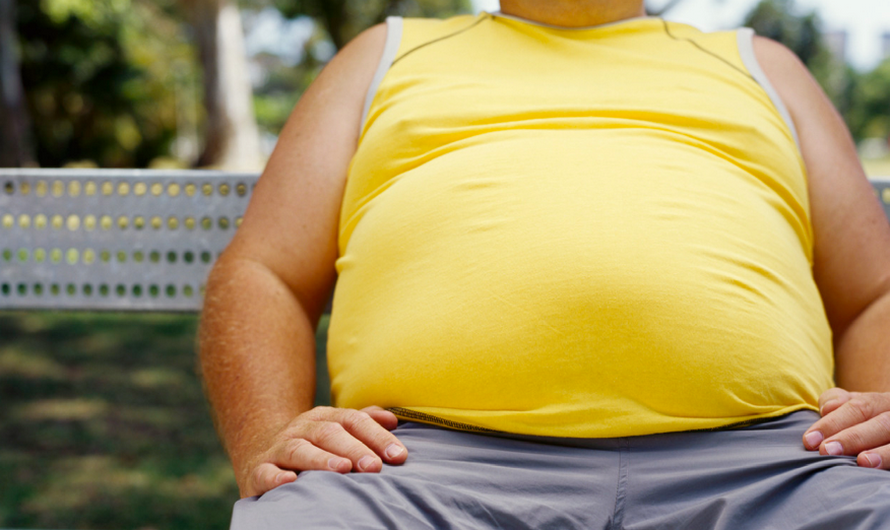 https://dpchas.com.ua/sites/default/files/u85/bellyfat.png