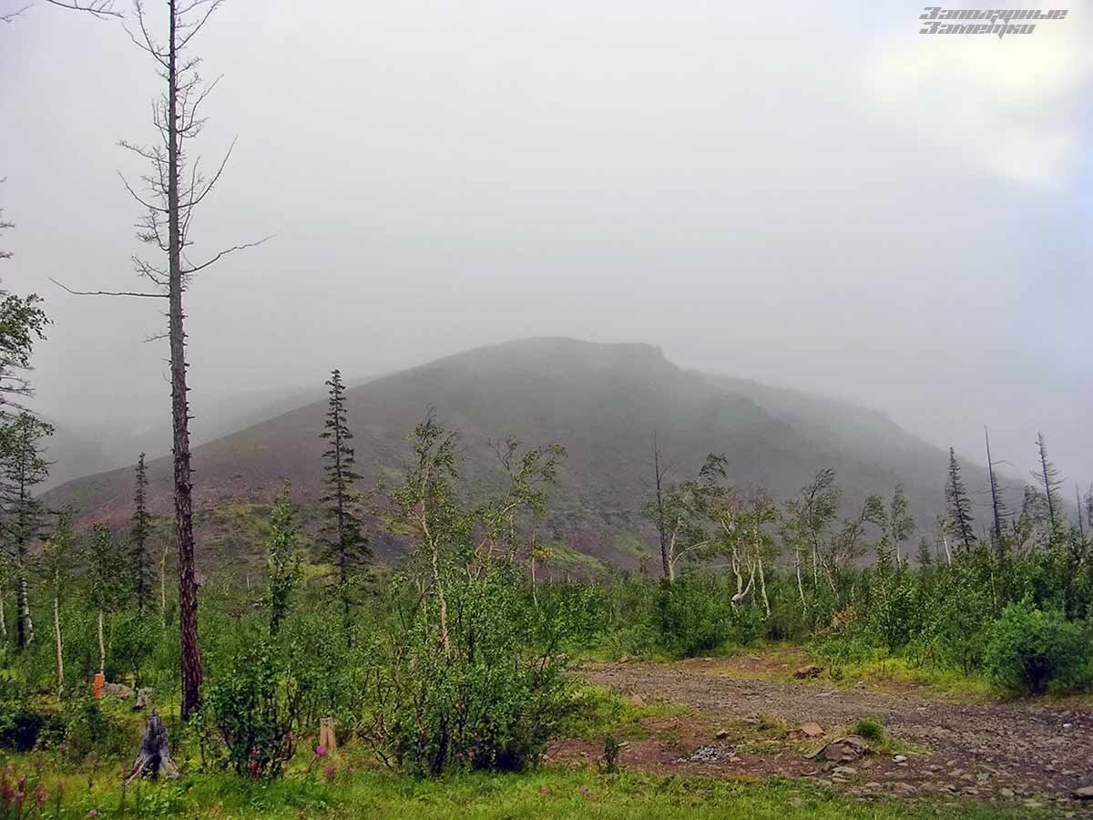 Северное редколесье. На фото можно увидеть «мощь» тамошних берез