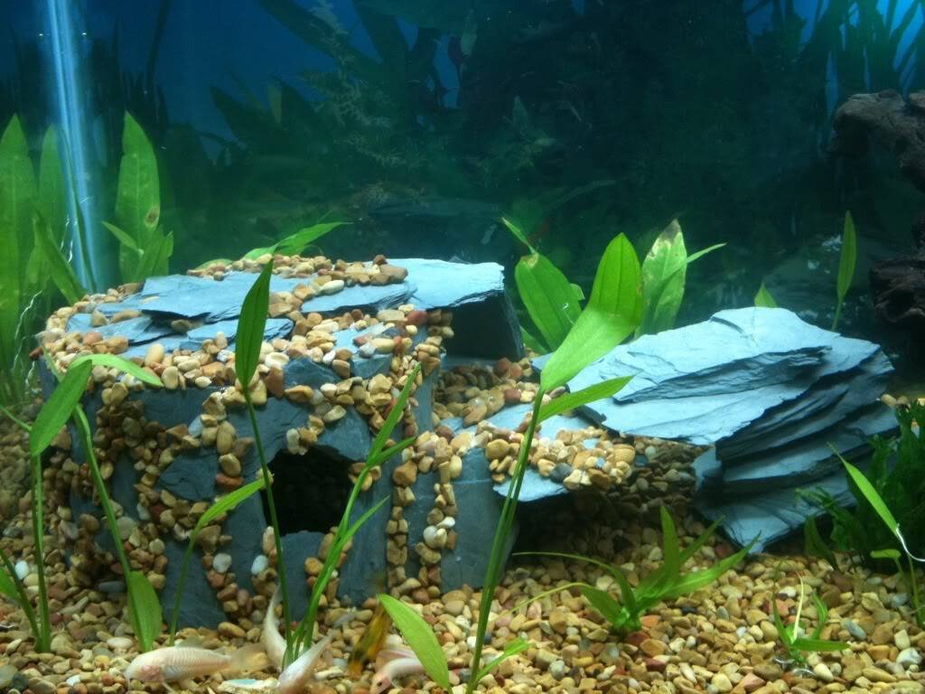 Как чистить декор, камни и коряги для аквариума