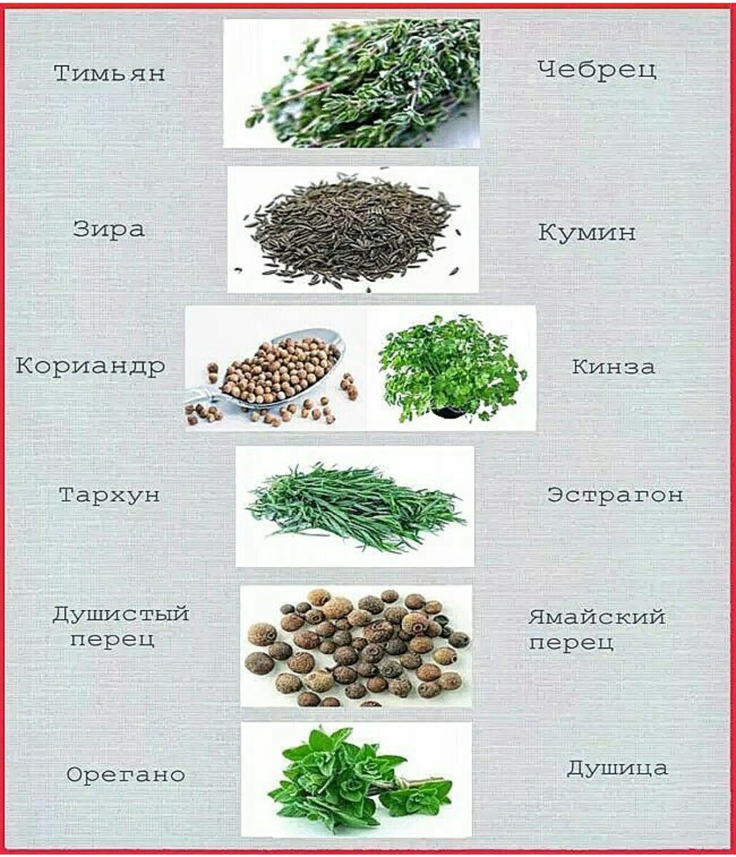 Пряные травы список