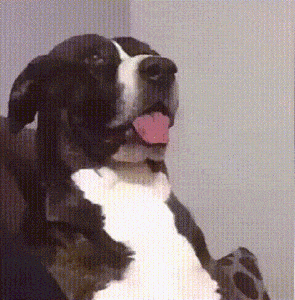 -3
