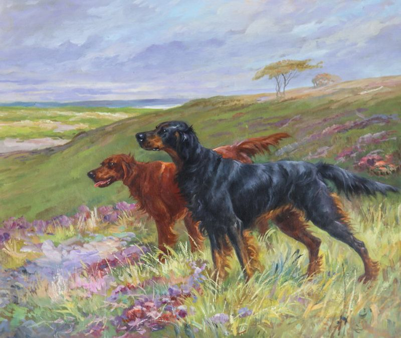 Сергеев Сергей--"Стойка" -ирландский и шотландский сеттера