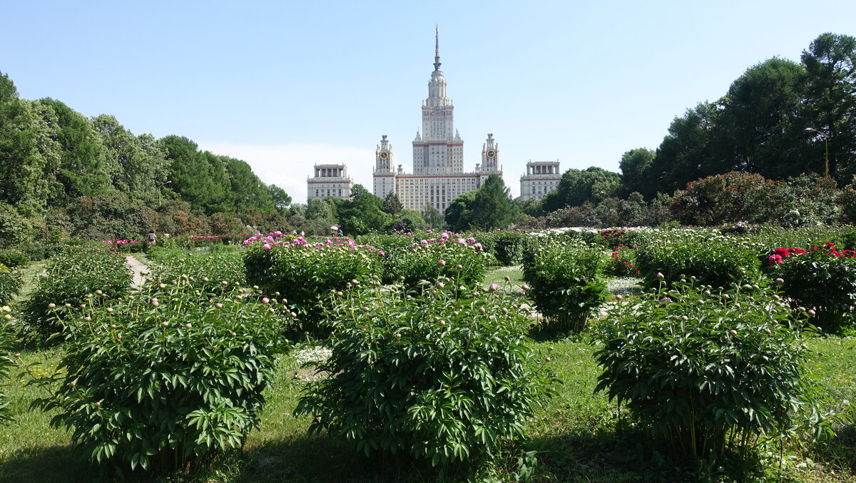 Карта ботанического сада мгу на воробьевых горах