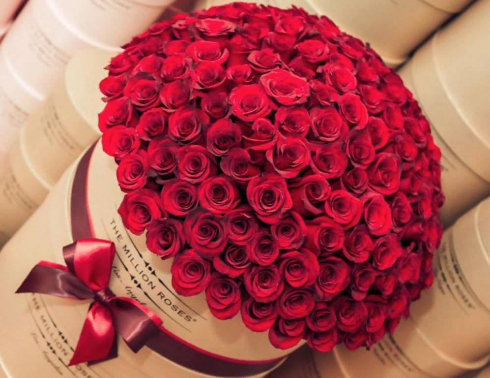 С днем рождения огромные розы. Красивые большие букеты. Шикарный букет роз. Огромный букет цветов. Букет роз огромный.
