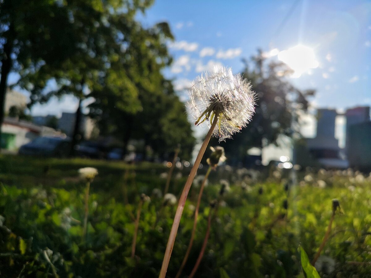 Huawei P20 Pro
