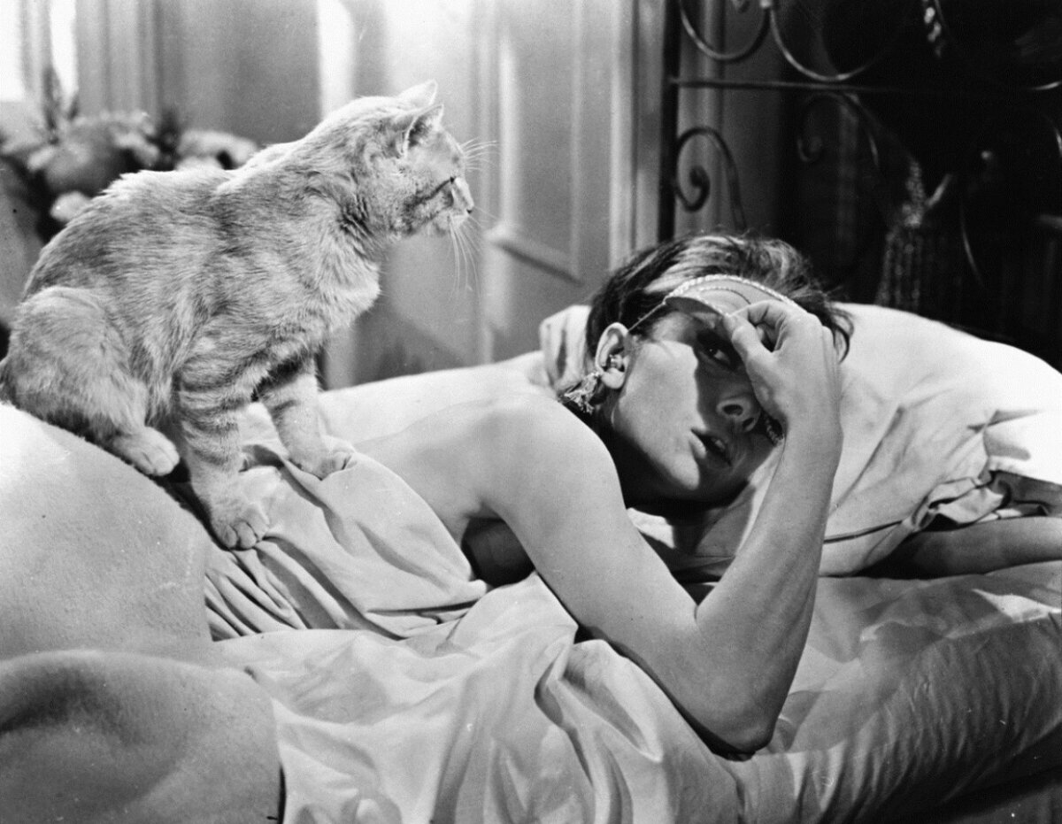 фото с сайта Кинопоиск