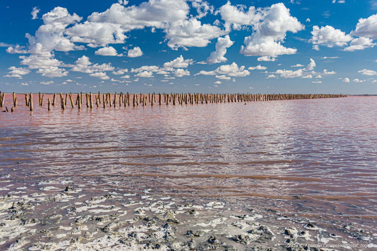Гнилое море