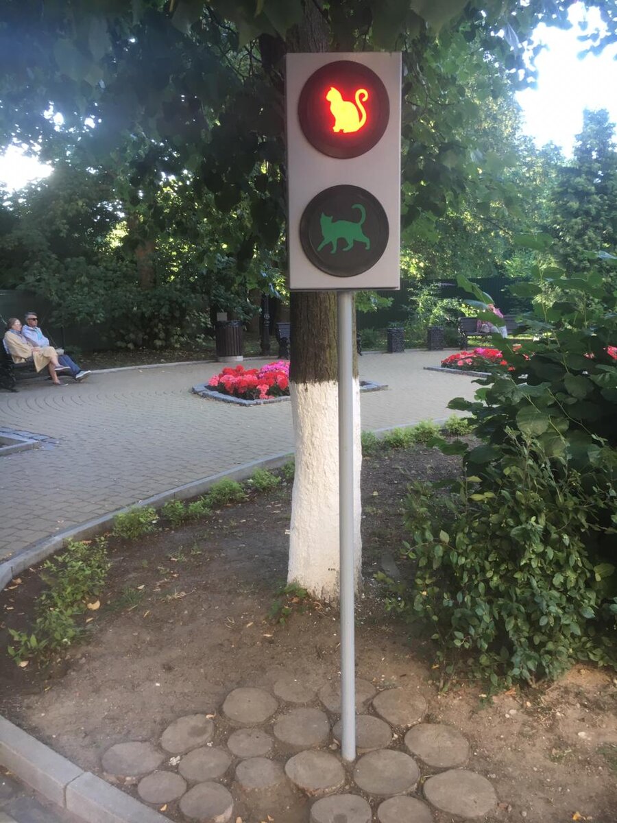 Фото: из личного архива канала Ваш Калининград