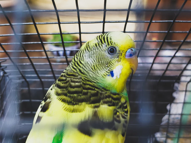 https://unsplash.com