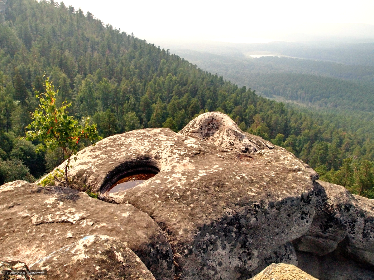 Территория национальный парк зюраткуль. Уральские начало. Магазин солнечный чита. Тайга осенью. Состав команды квн уральские пельмени в 1998 году.
