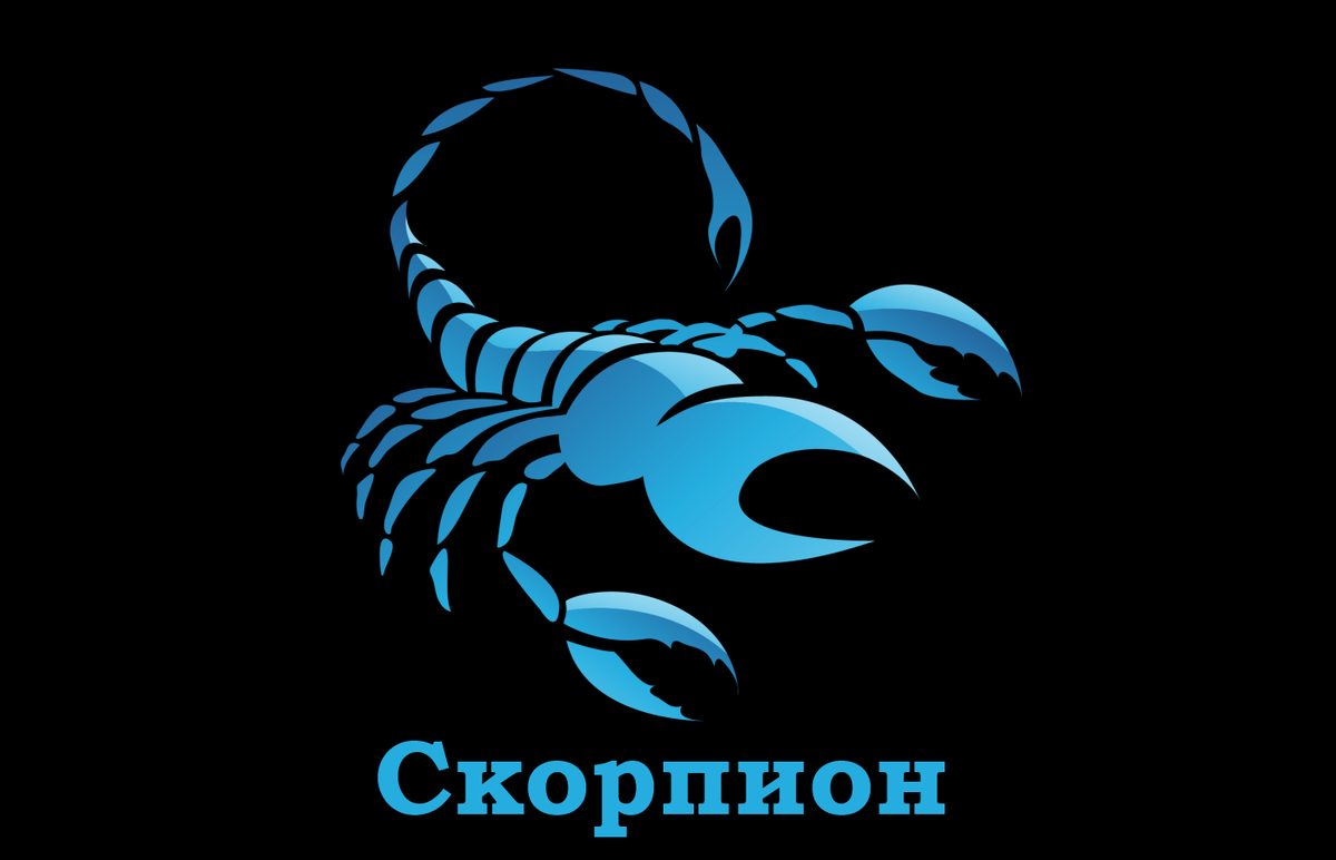 Фото взято из сети.