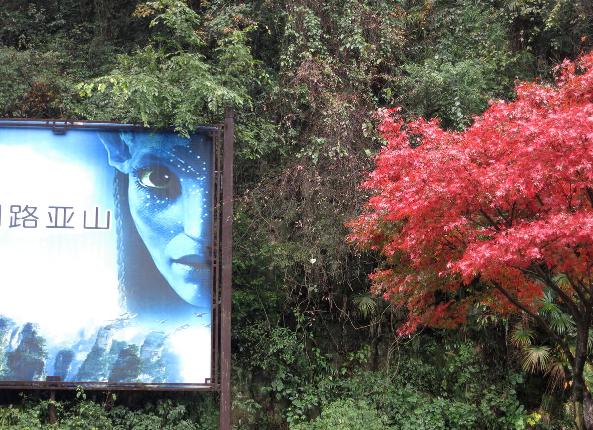 Рекламный щит, напоминающий об "Аватаре", стоит прямо перед входом в заповедник