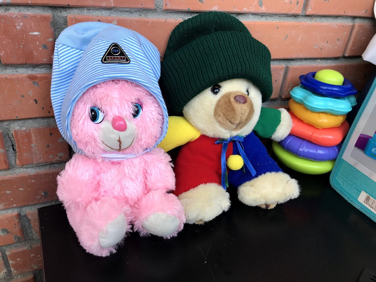 Медведь с зайцем на прогулке