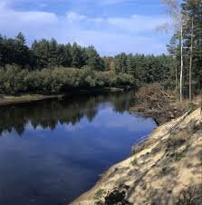 Фото из открытого источника Google Картинки