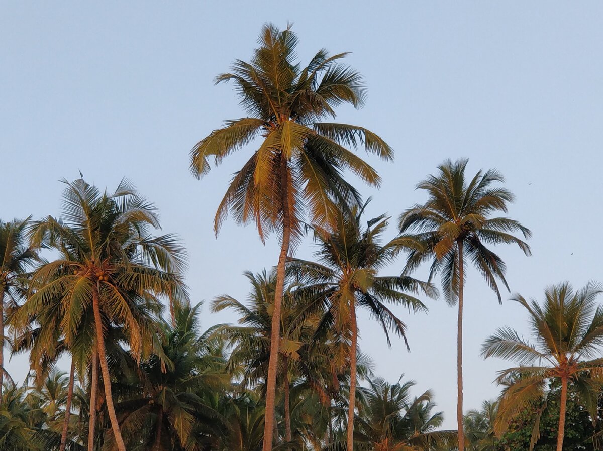 Goa, Palolem Beach