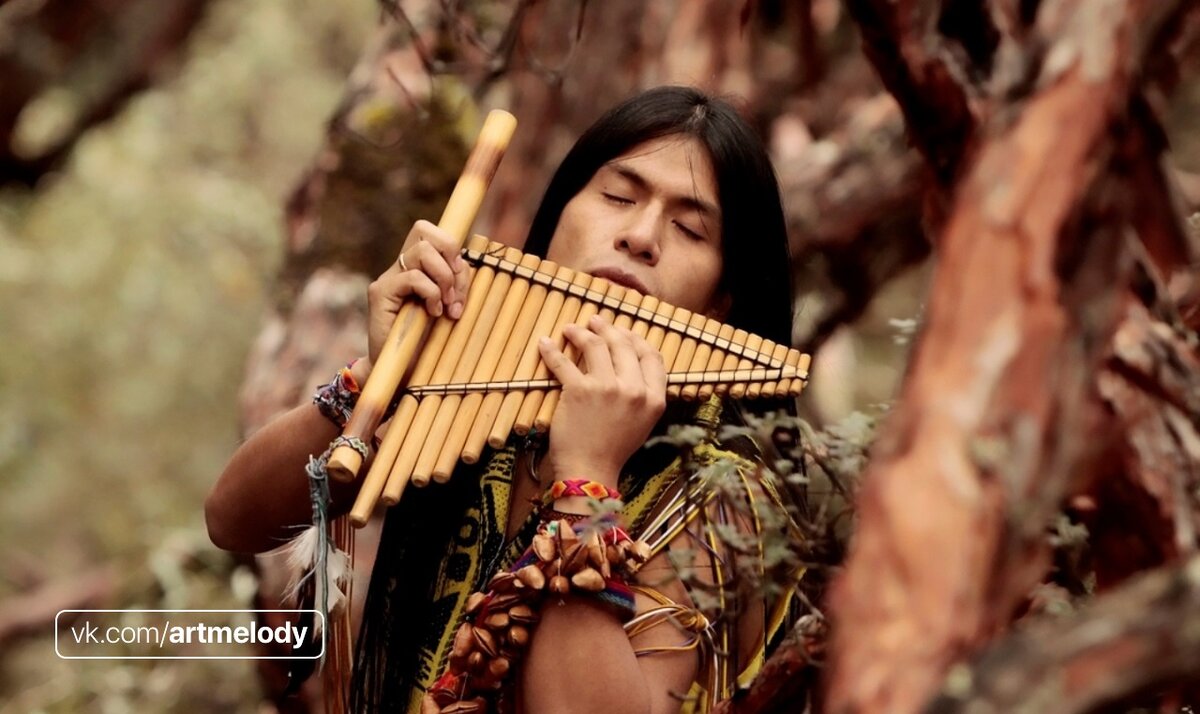 Leo Rojas