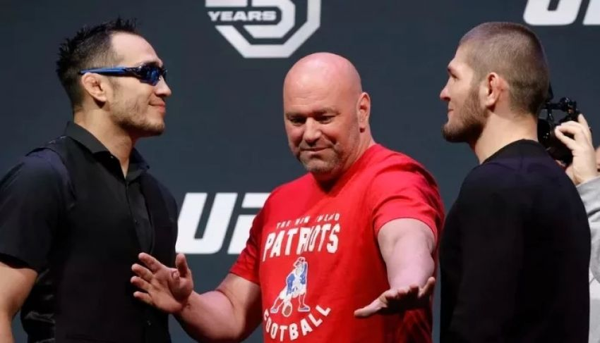 Фото в свободном доступе