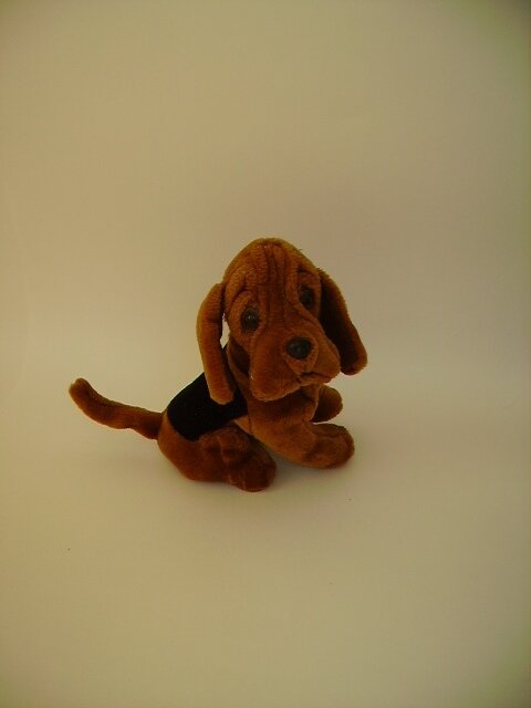 фото из личного архива