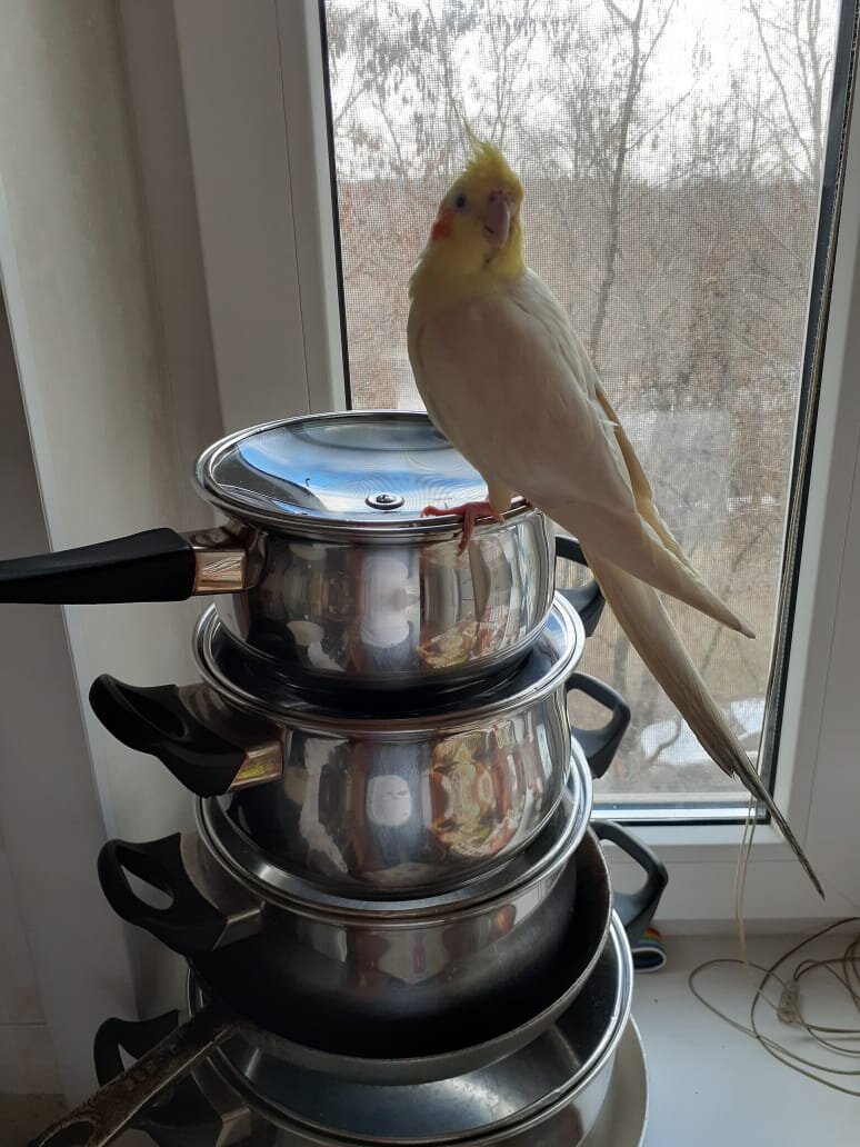 На сторожевой башне!