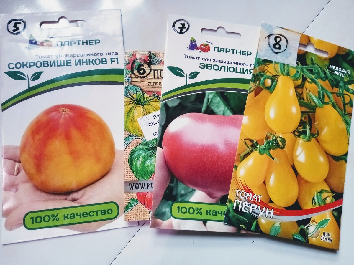 томат партнер золото инков. томат сокровище инков партнер. сорт томатов, сокровище инков. сокровище инков f1 томат партнер. томат сокровище инков f1.