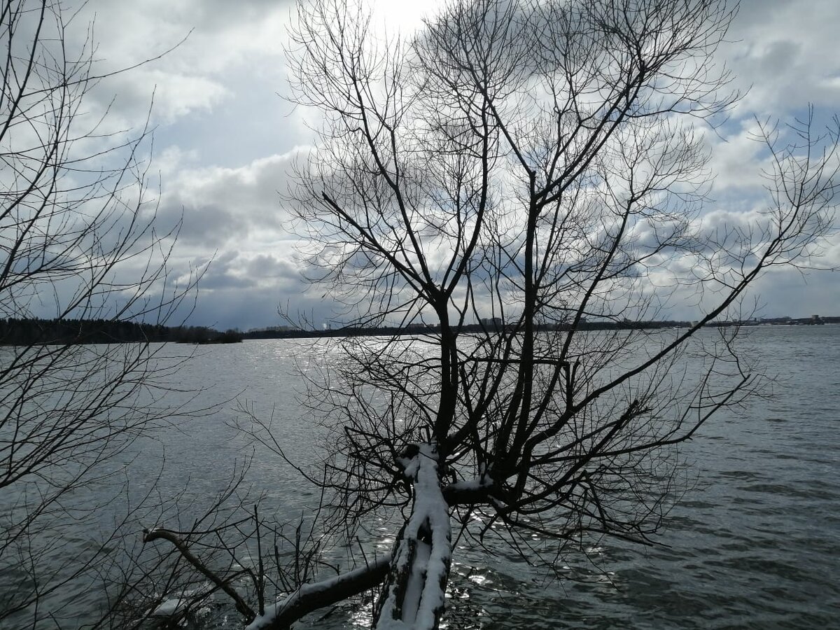 оз. Сенеж, 15.03.2020