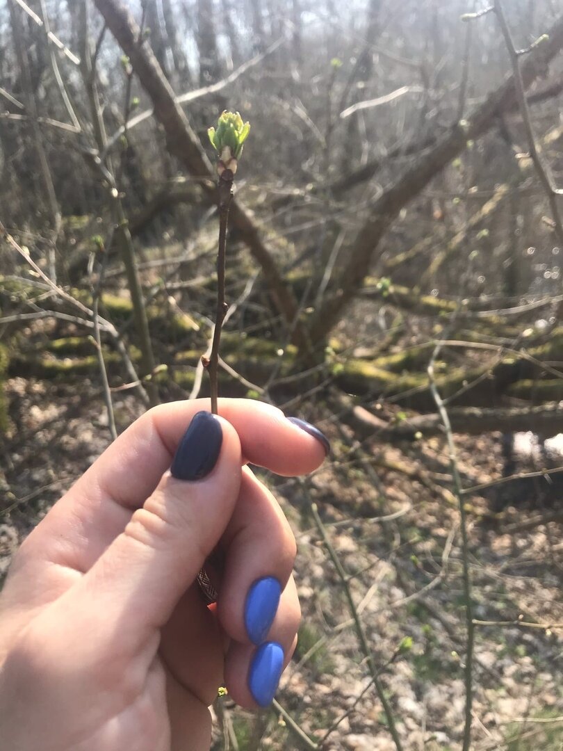 Это из вчерашнего похода )