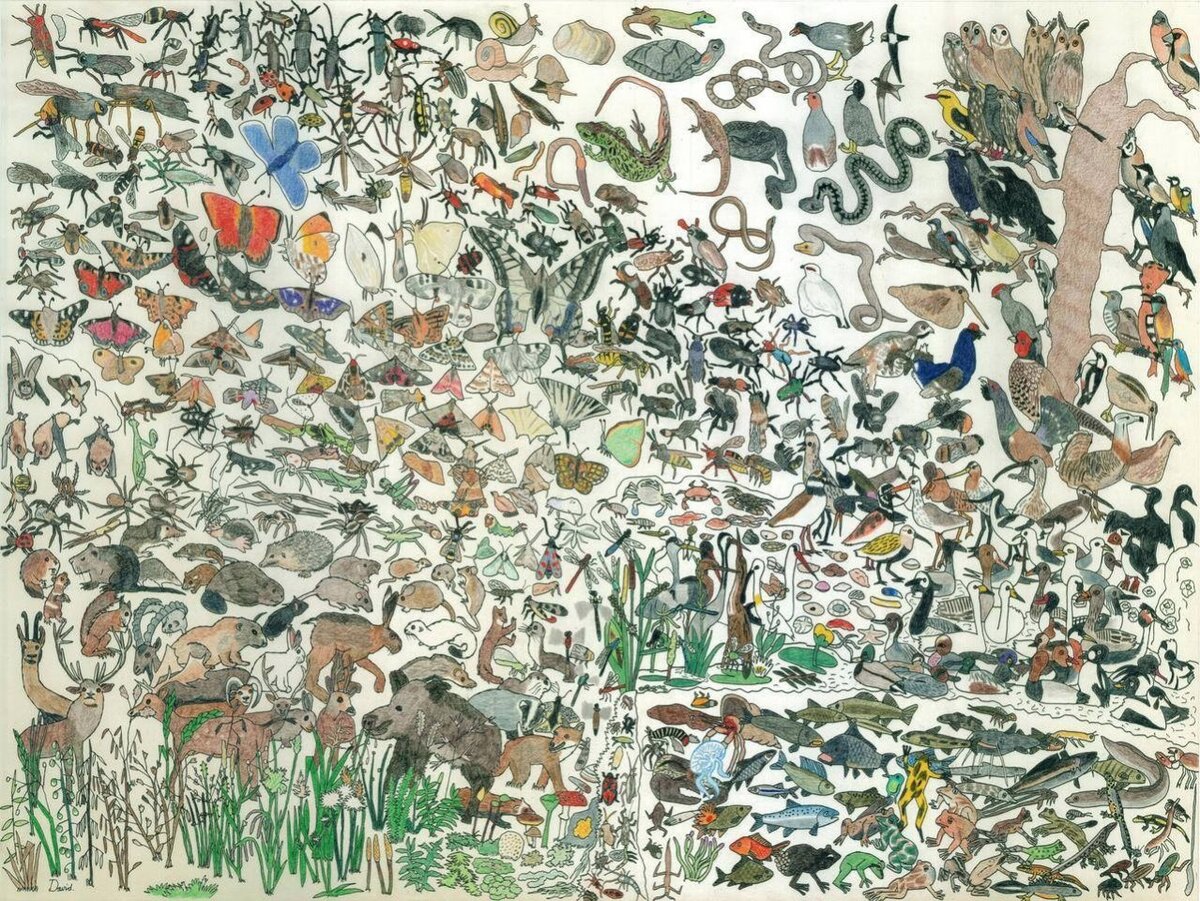 Взято с Яндекс.Картинки. Это рисунок аутиста. Так он видит мир. 