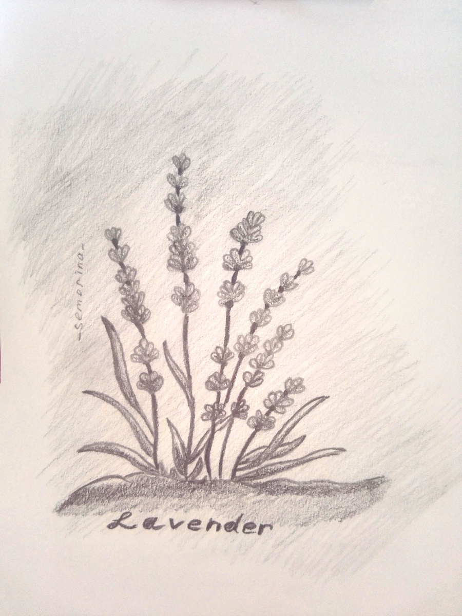 Спасибо за рисунок нашему подписчику