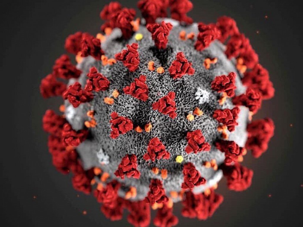 Зачинщиков пандемии собственной персоной