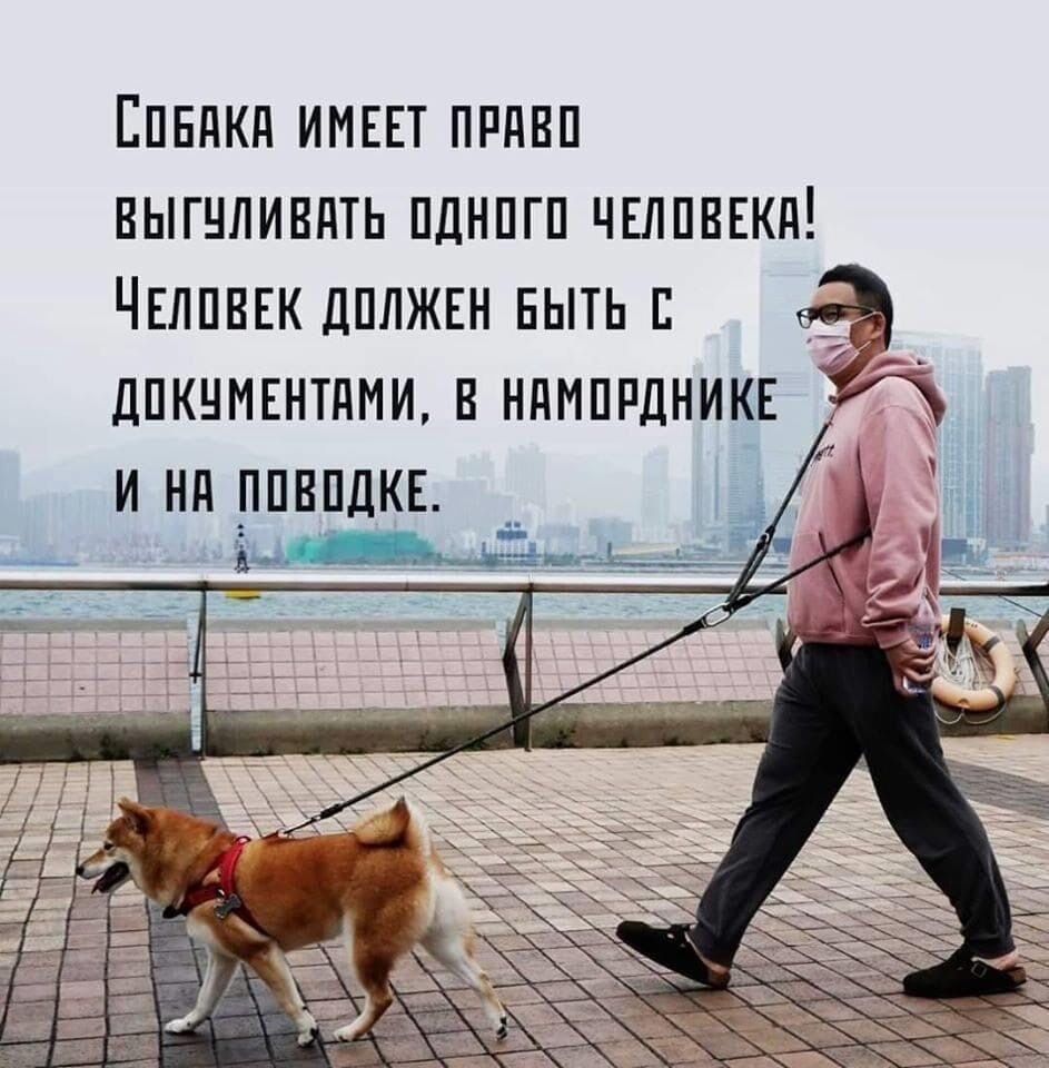 Взято из просторов интернета. 