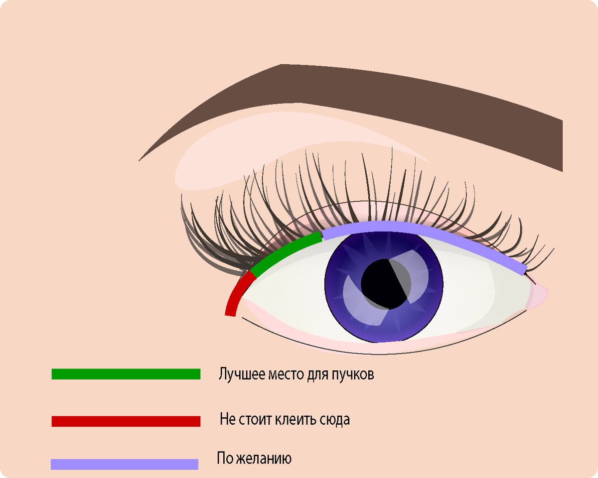 Наращивание уголков глаз. Схема наращивания внешних уголков глаз. Наращивание уголков глаз схема. Нарощенные уголки глаз схема.