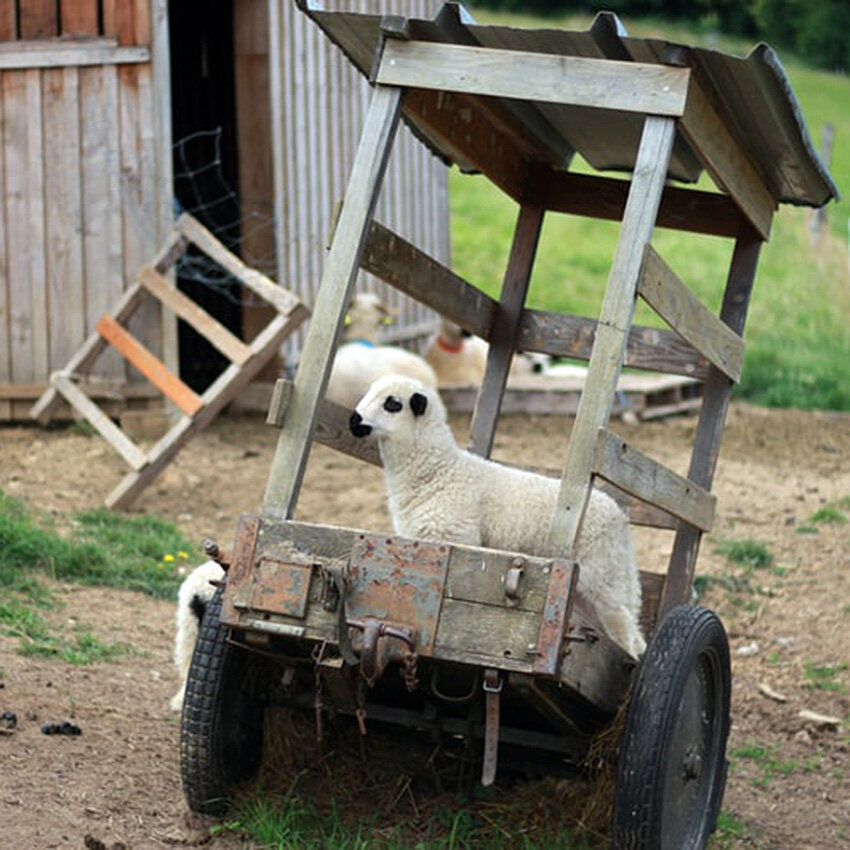 Фото: unsplash.com  