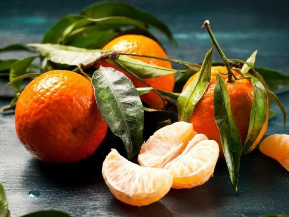 Фото: pulse19.ru