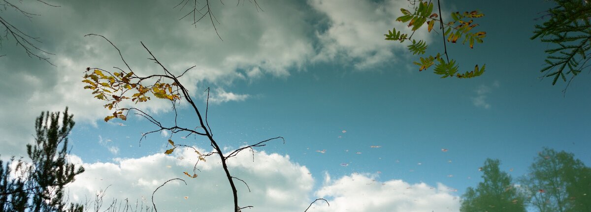 зеркало тоже не есть мы сами