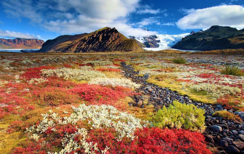 ФОТО: ocean-media.su