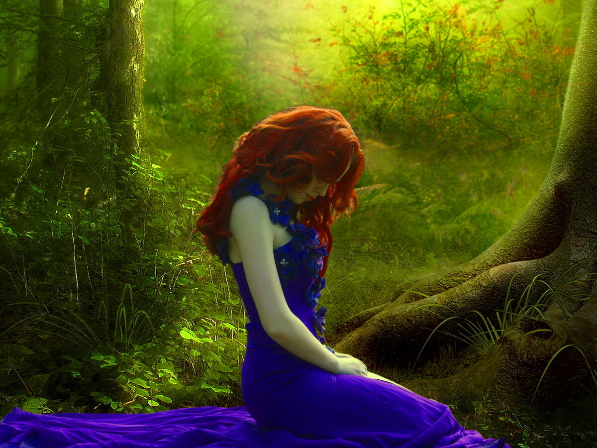 картинка из интернета